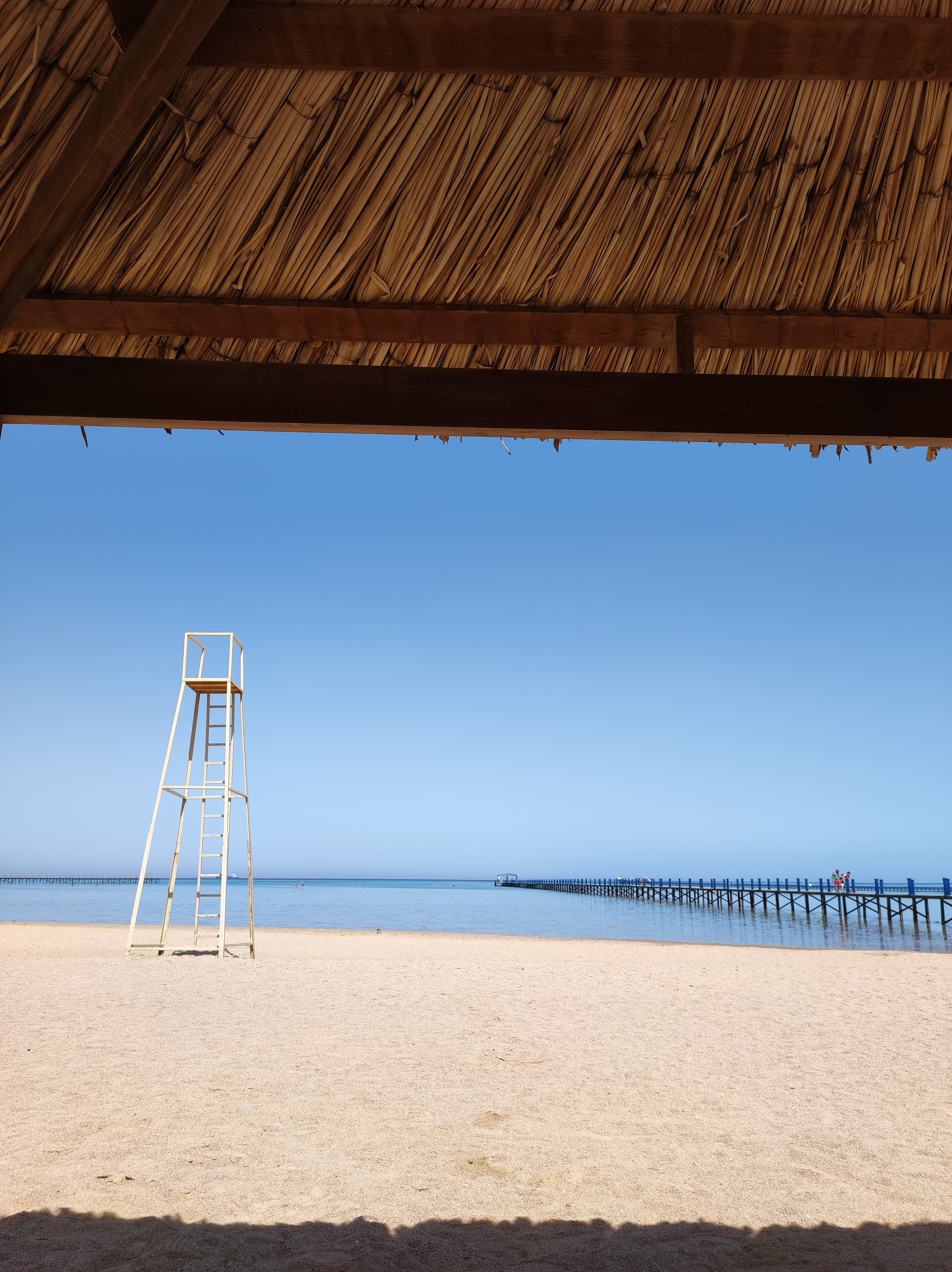 Фото Coral Sea Aqua Club