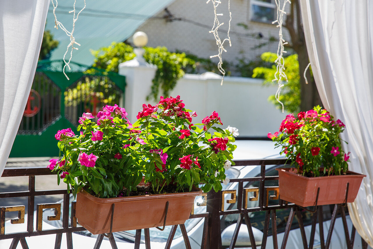 Фото Боспор