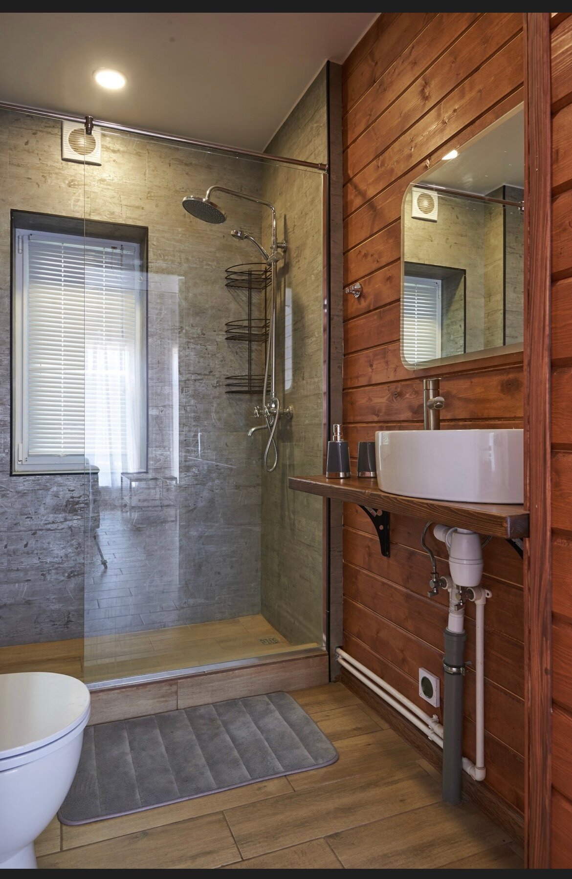 Фото Лесная Сова