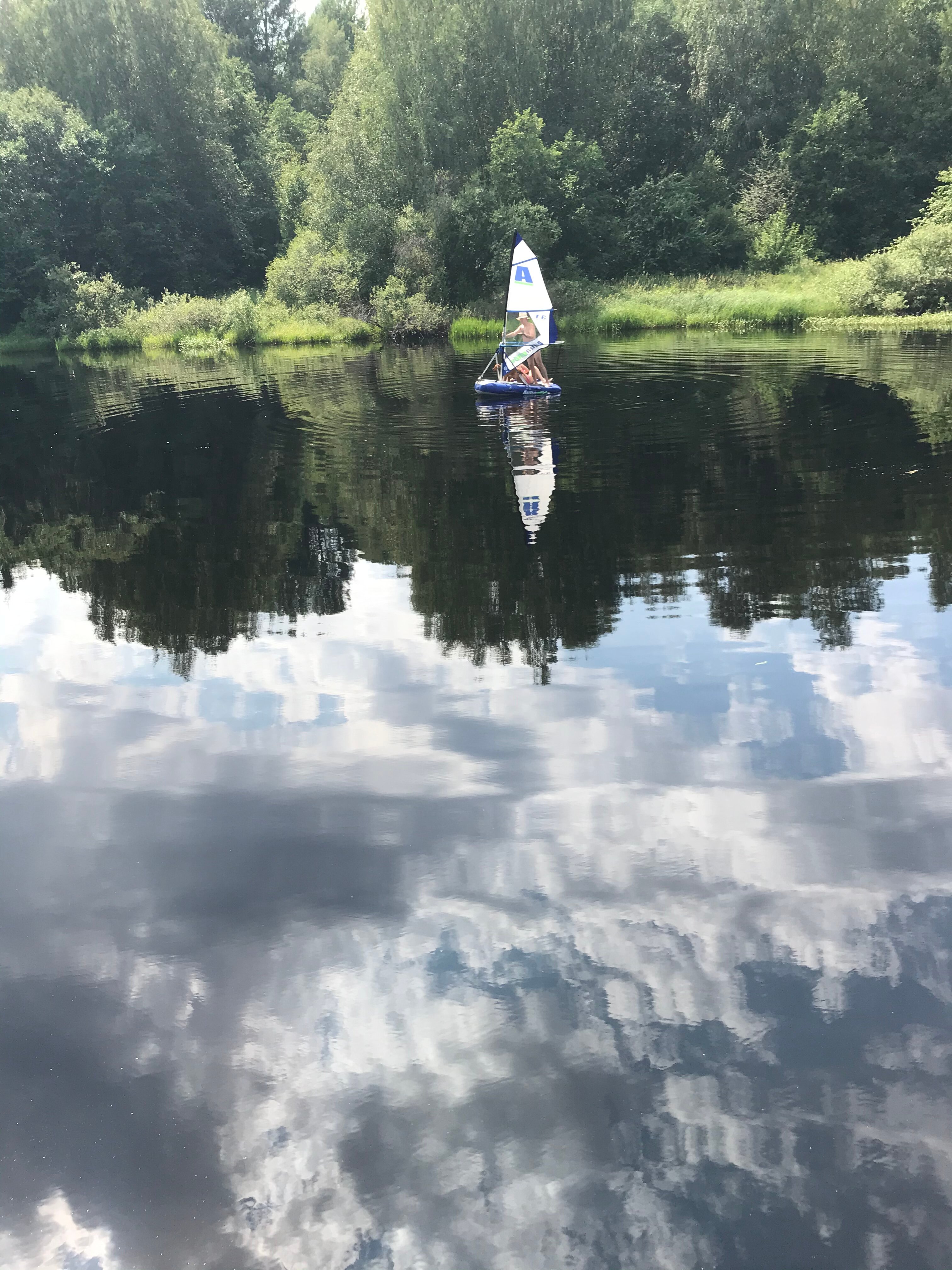 Фото Лаванда