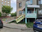 AktivBukh (ulitsa Chicherina, 13) ، محاسبون