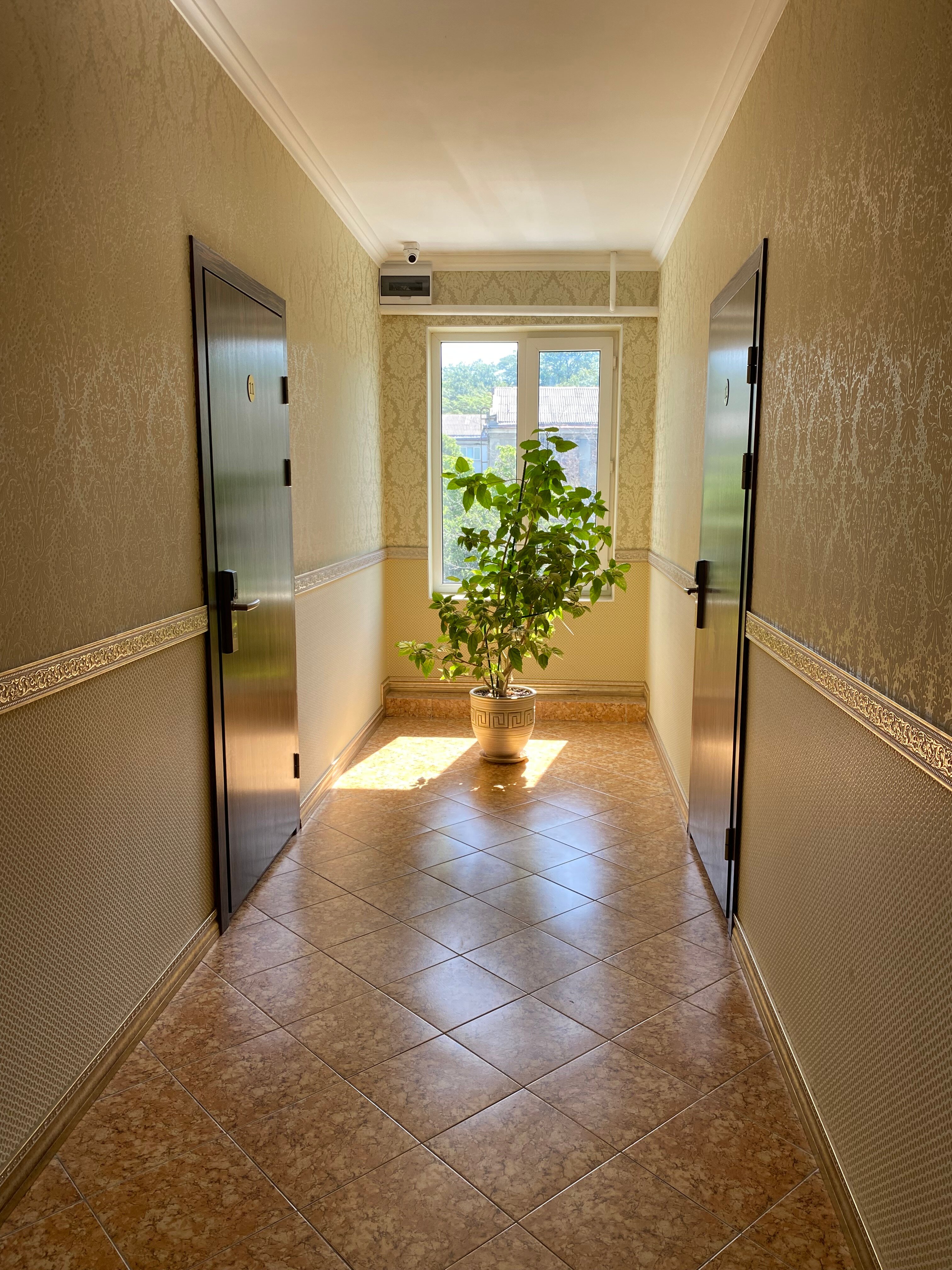 Фото Магнолия