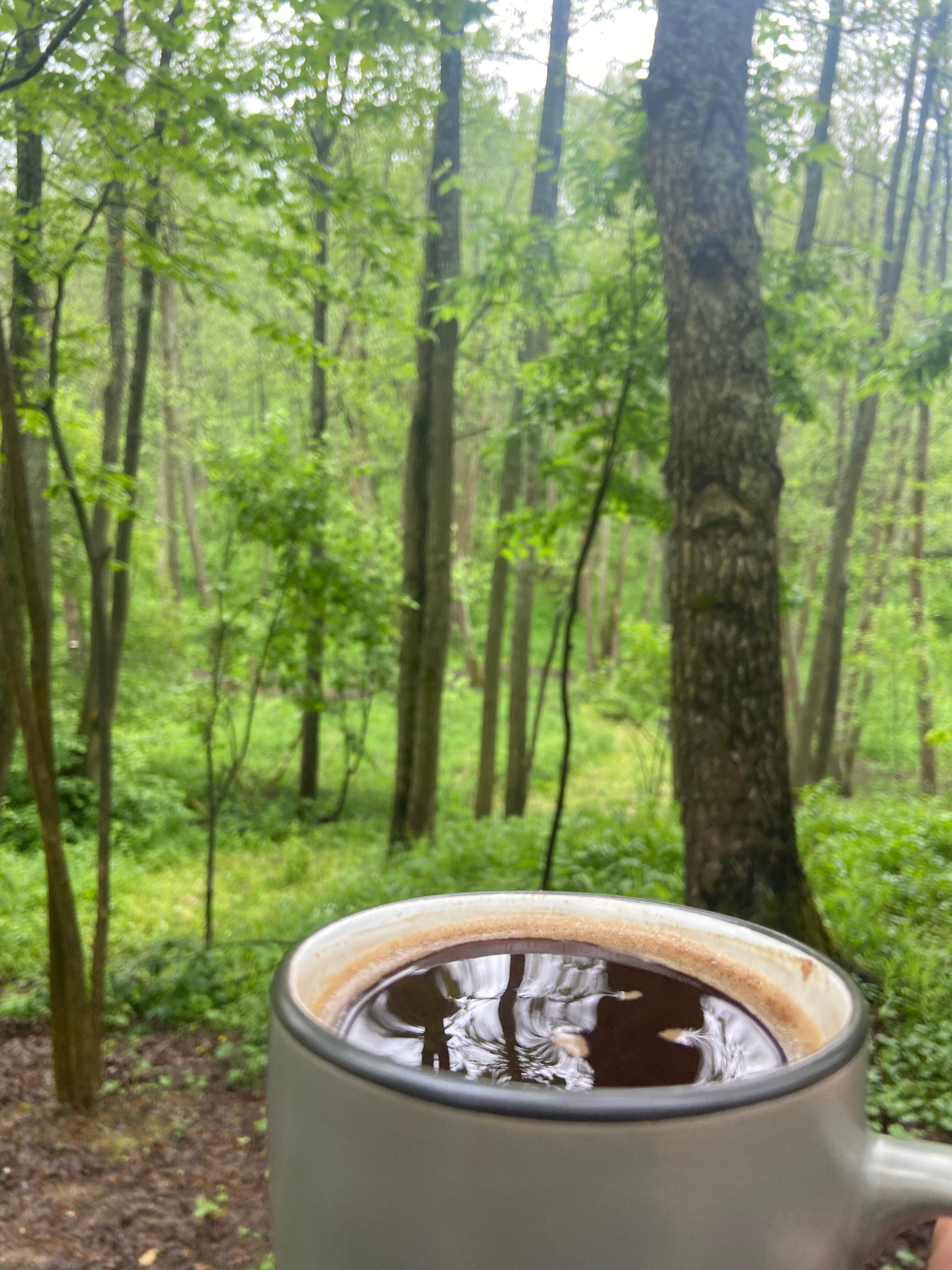 Фото Veлес glamp