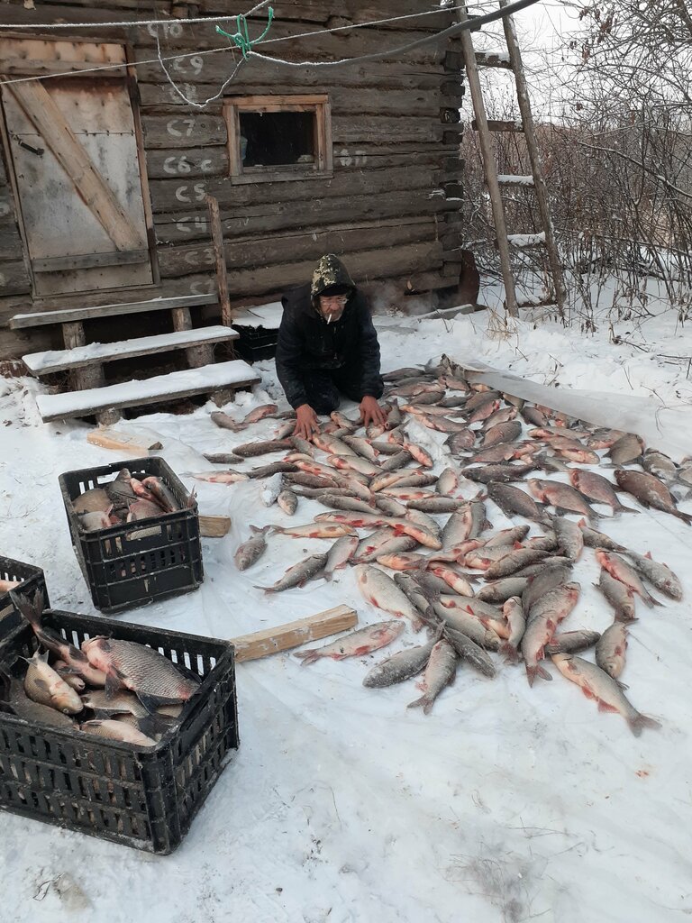 Comida al por mayor Torgovo-zagotovitelnaya mezhraybaza Severnaya, , foto