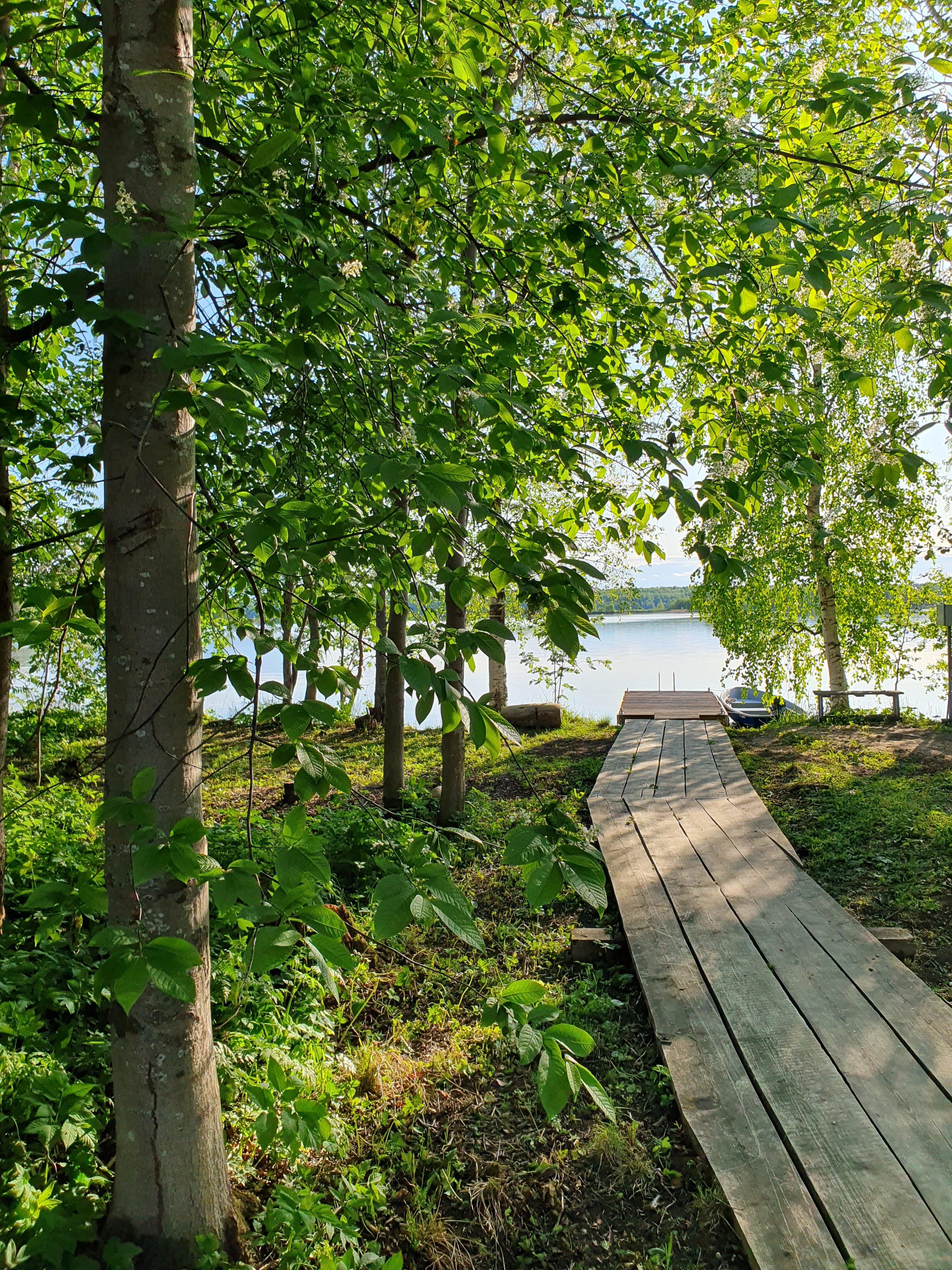 Фото Онегин