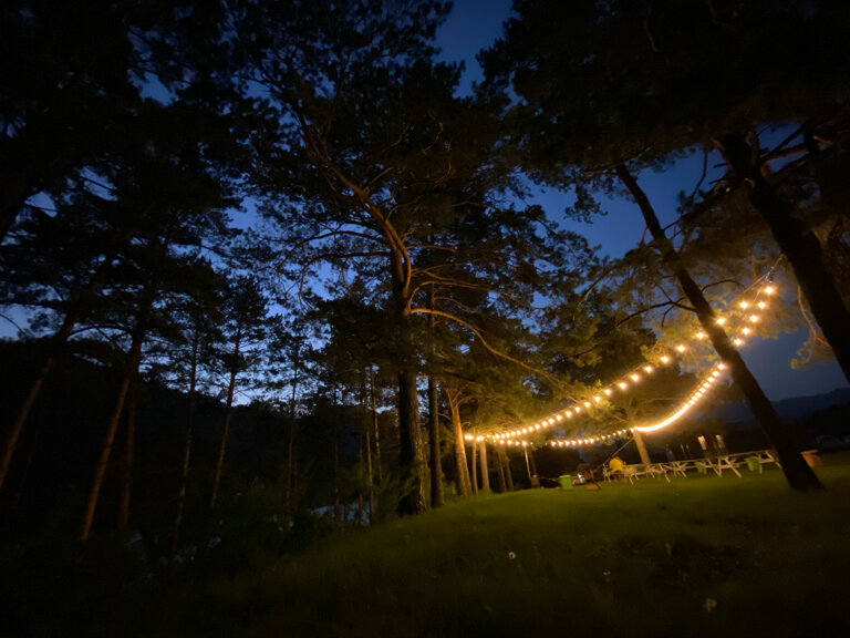 Фото Алтерия