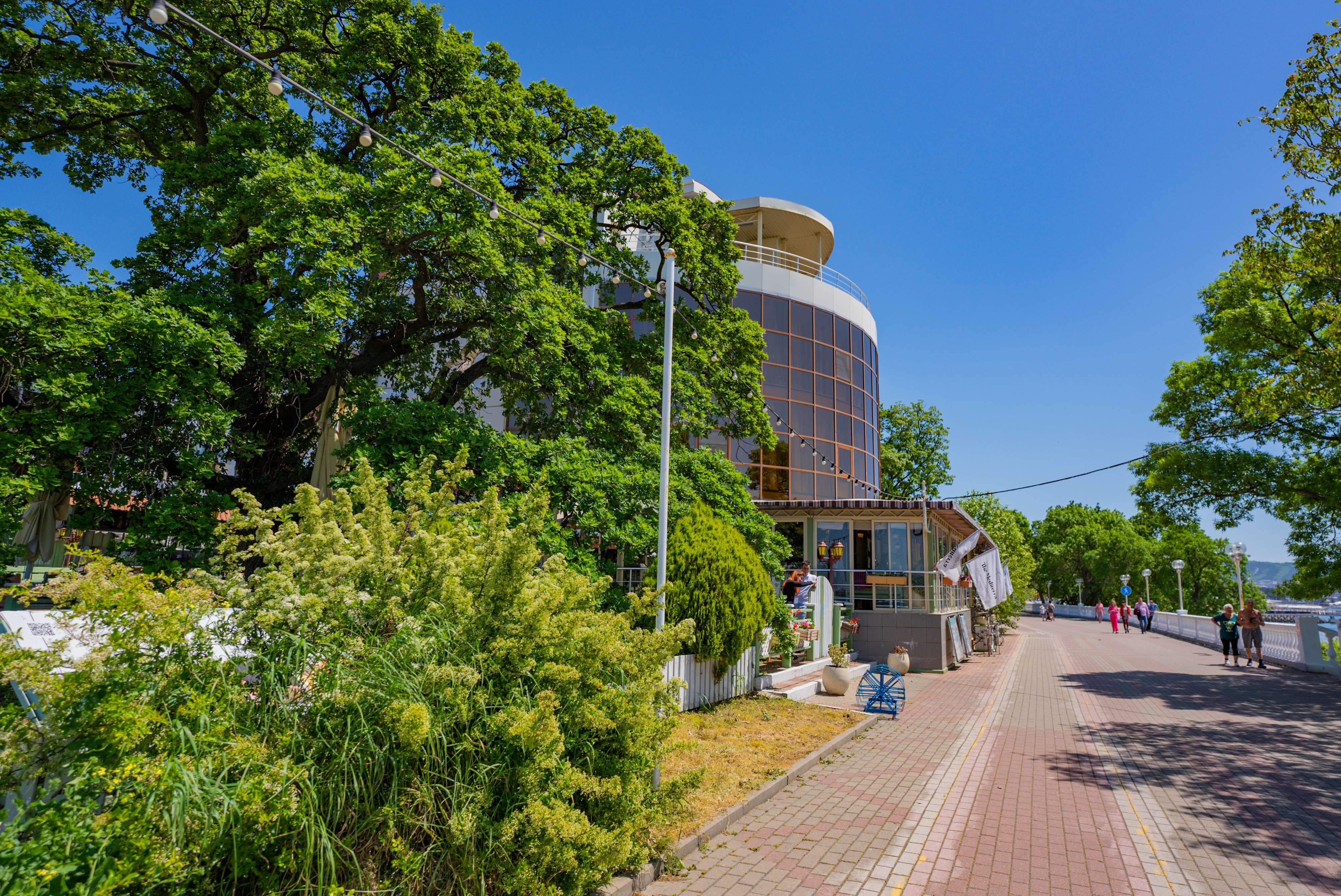 Фото Магнолия