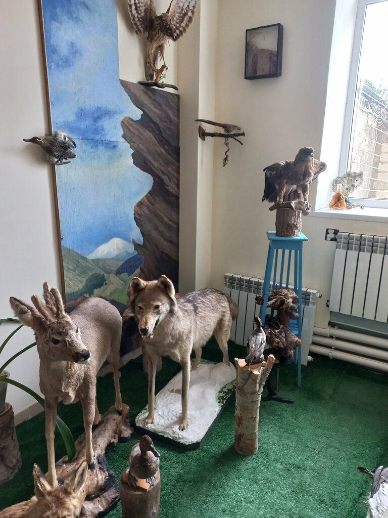 متحف Дагогнинский музей ، داغيستانسكي أوغني، صورة