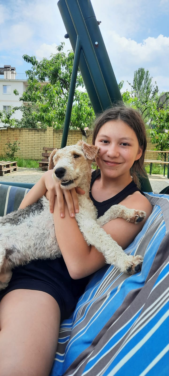 Фото Розовый сад