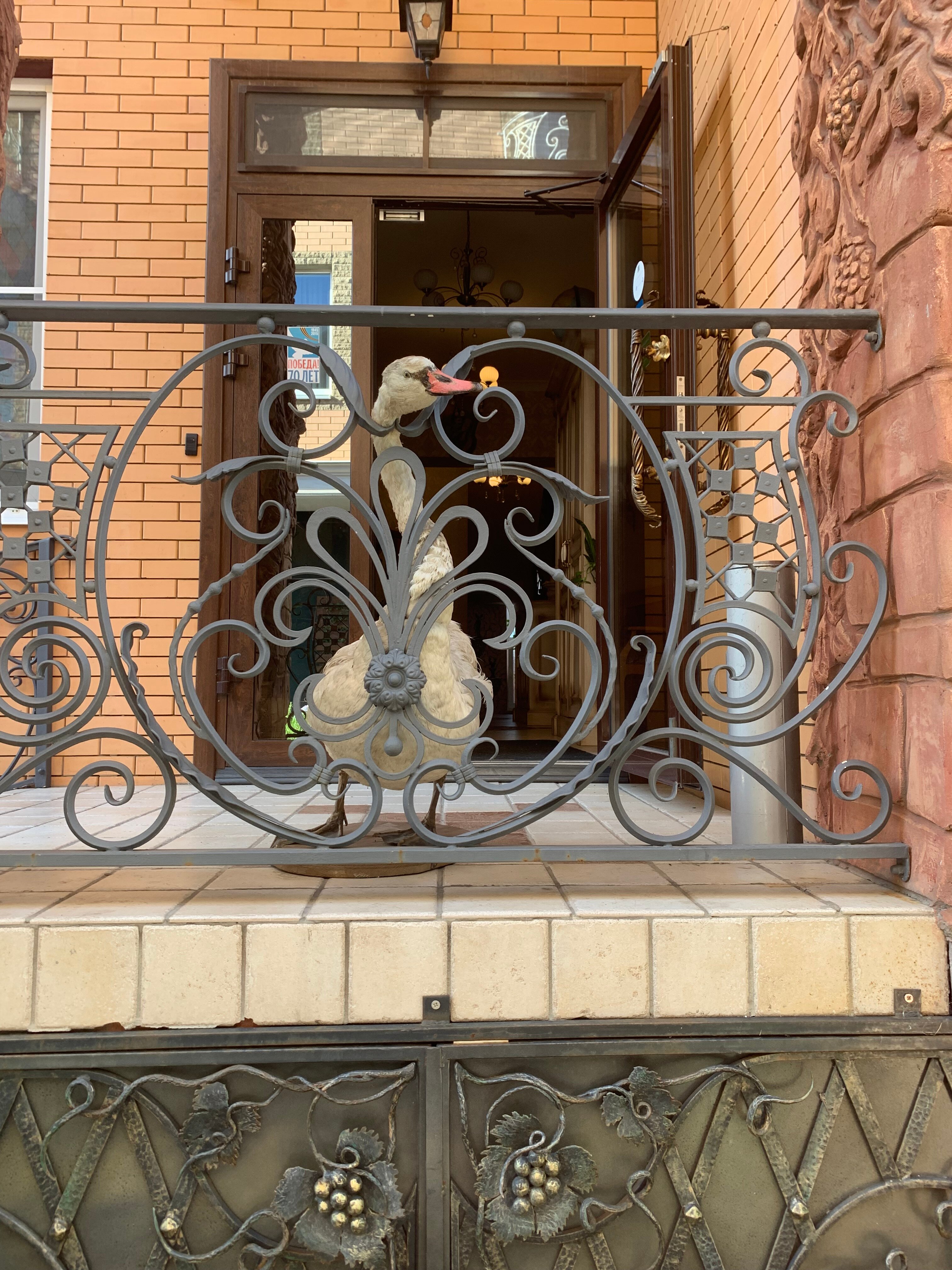 Фото Дон Мажор