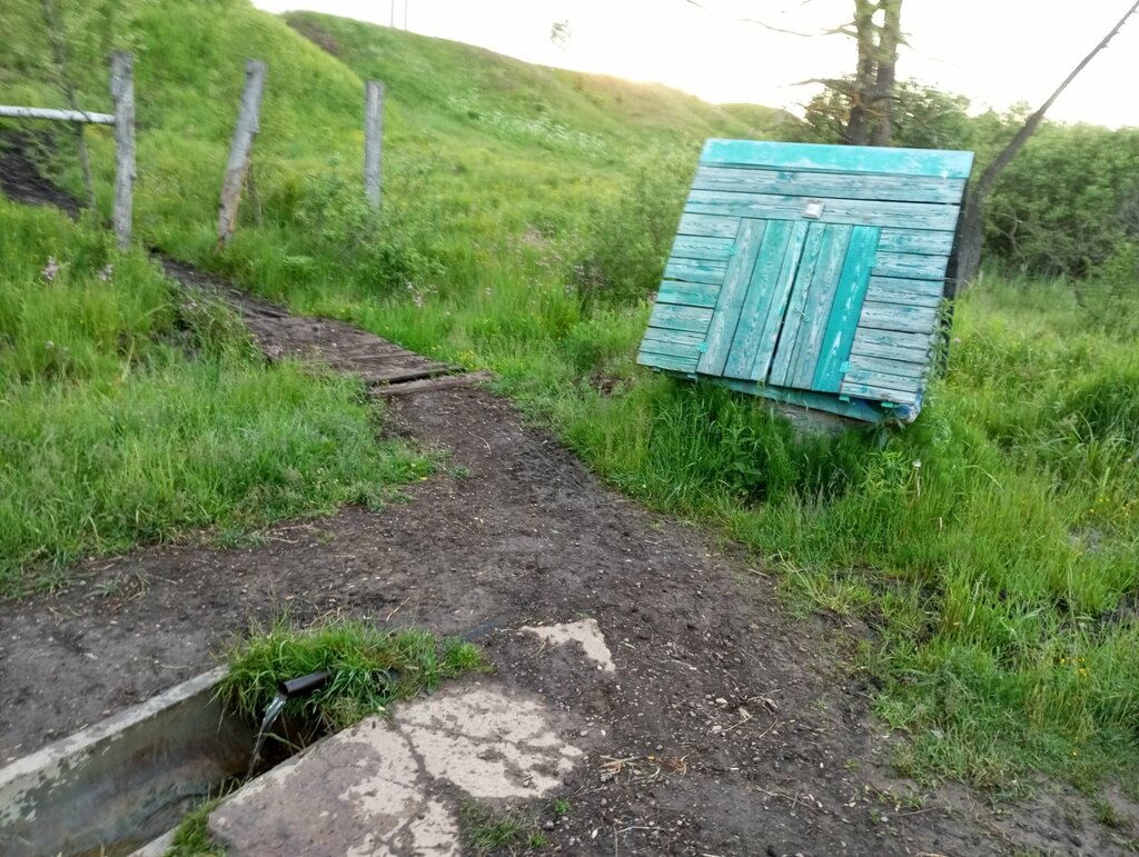 Spring, stream Банинский родник, Tula, photo