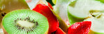 Floral Fruit LLC (4, 3A Street, Ras Al Khor Industrial 3, Ras Al Khor, Dubai), vegetables and fruit wholesale