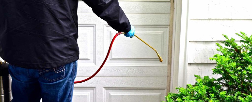 Disinfection, disinsection, deratization Supreme Pest Control Services LLC, Dubai, photo