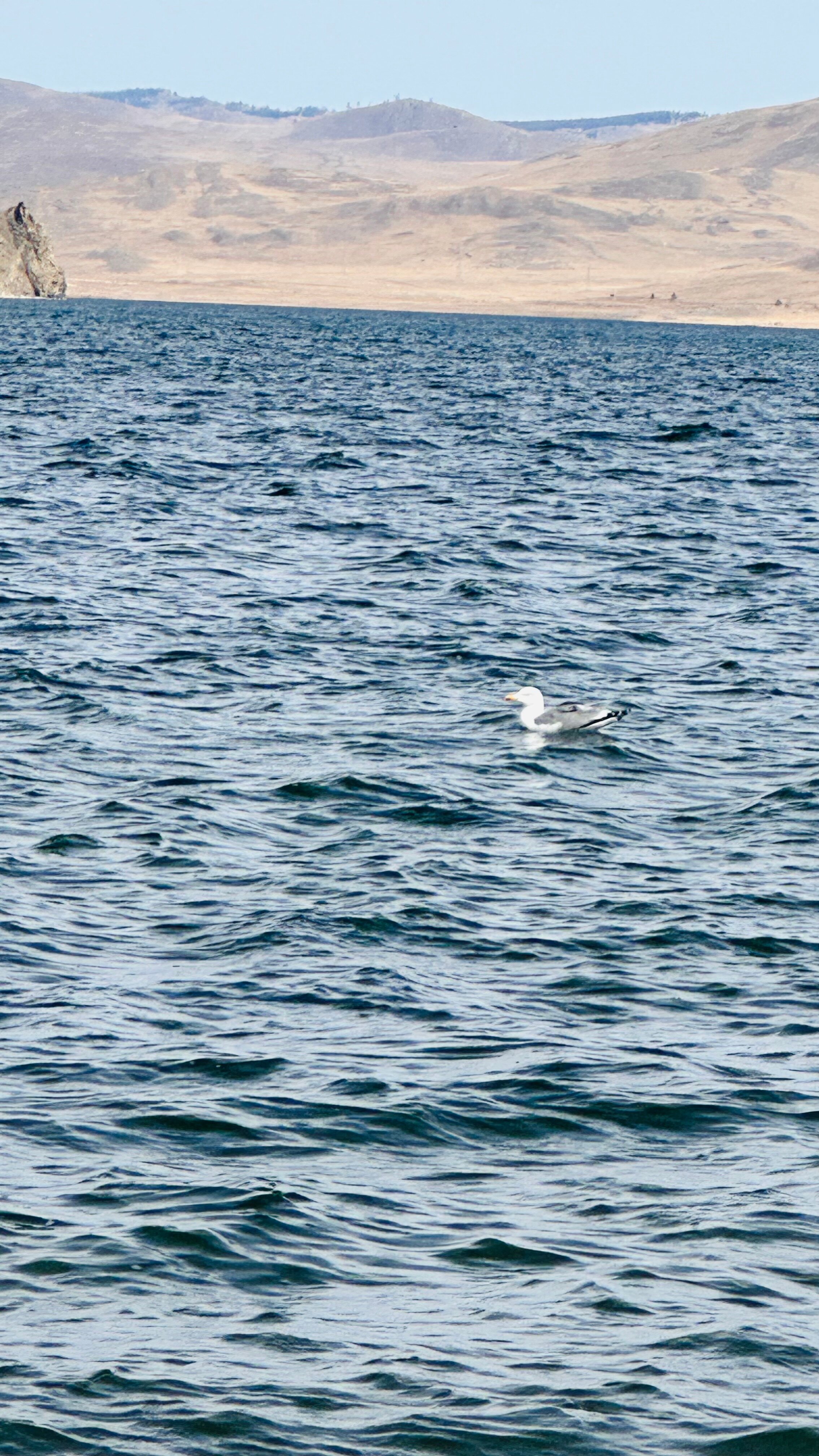 Фото Нурзиган