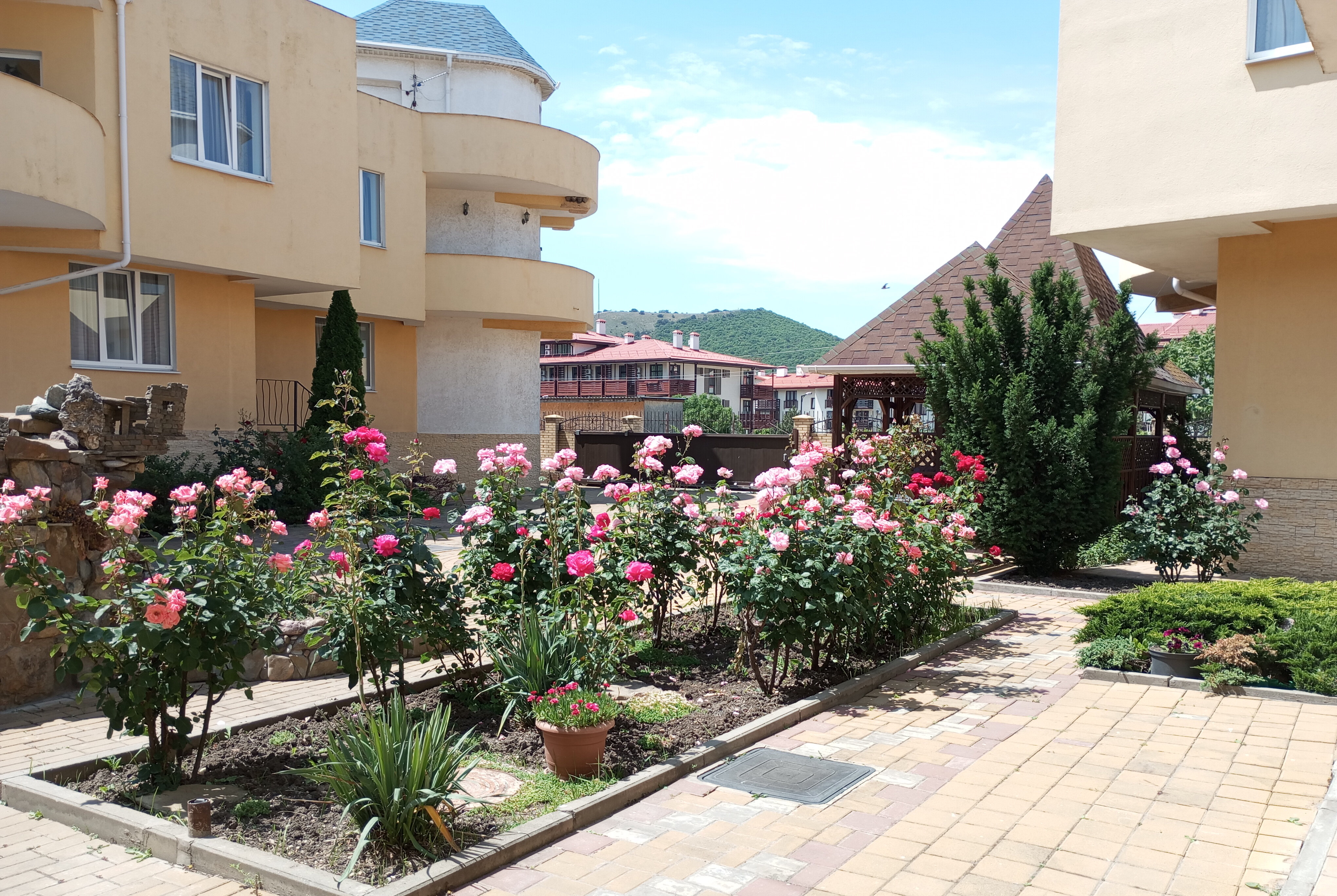 Фото Дольче Вита