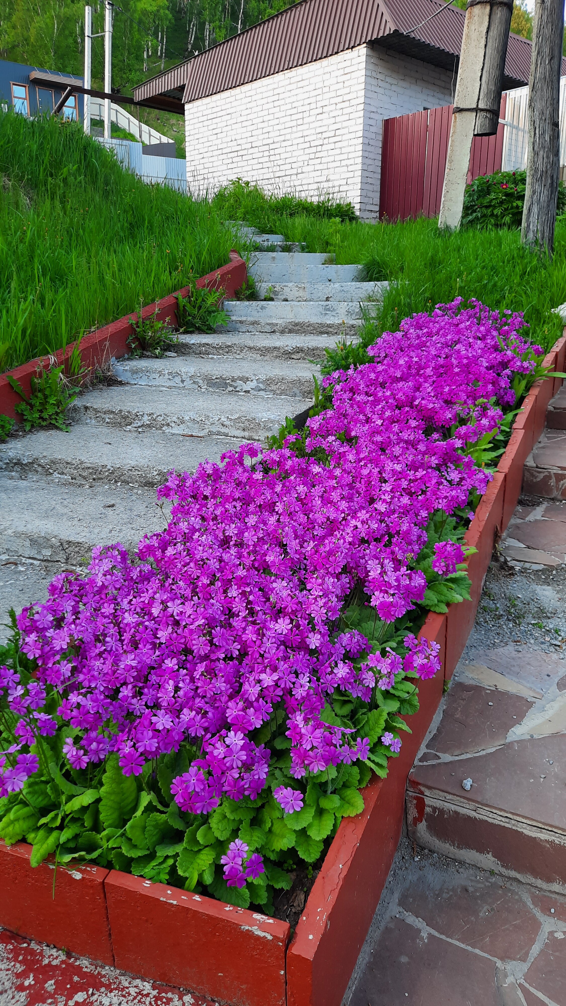 Фото Сказка