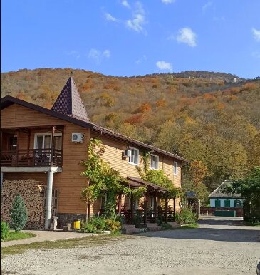 Фото Аммонит