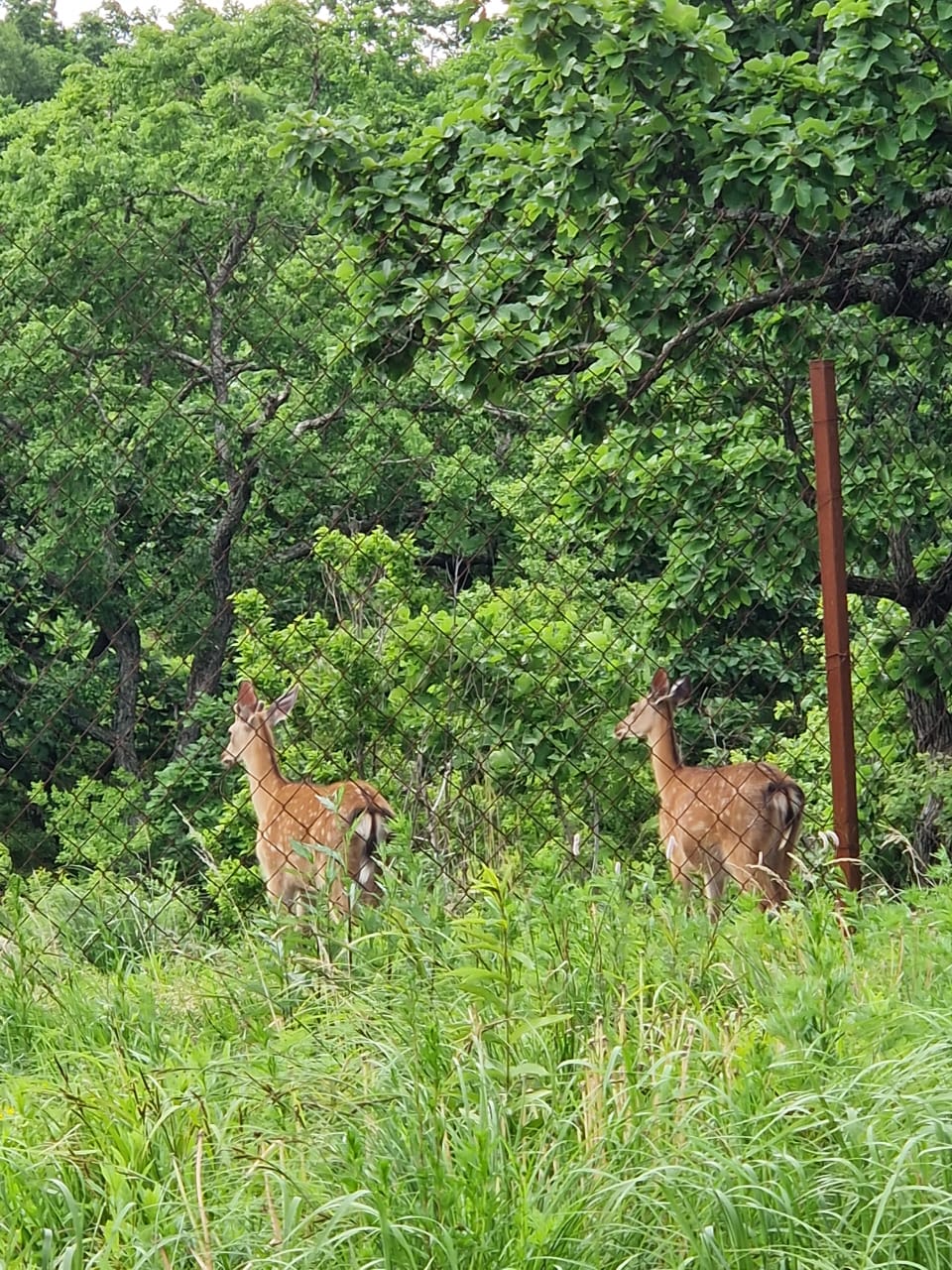 Фото Экопарк Бухта Астафьева