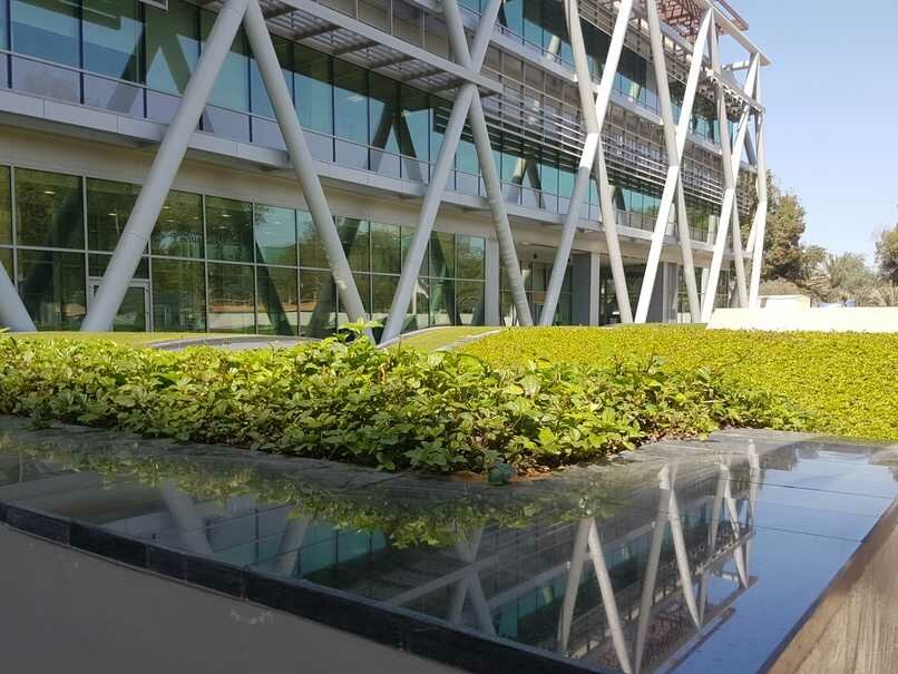 Landscaping of premises Emirates Landscape LLC, Abu Dhabi, photo