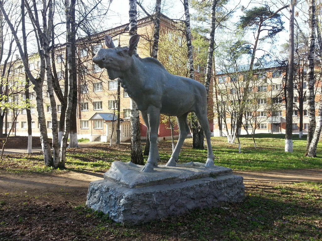 كلية Egorievsk Aviation Technical College named after V.P. Chkalov, branch of MSTU ، ، صورة
