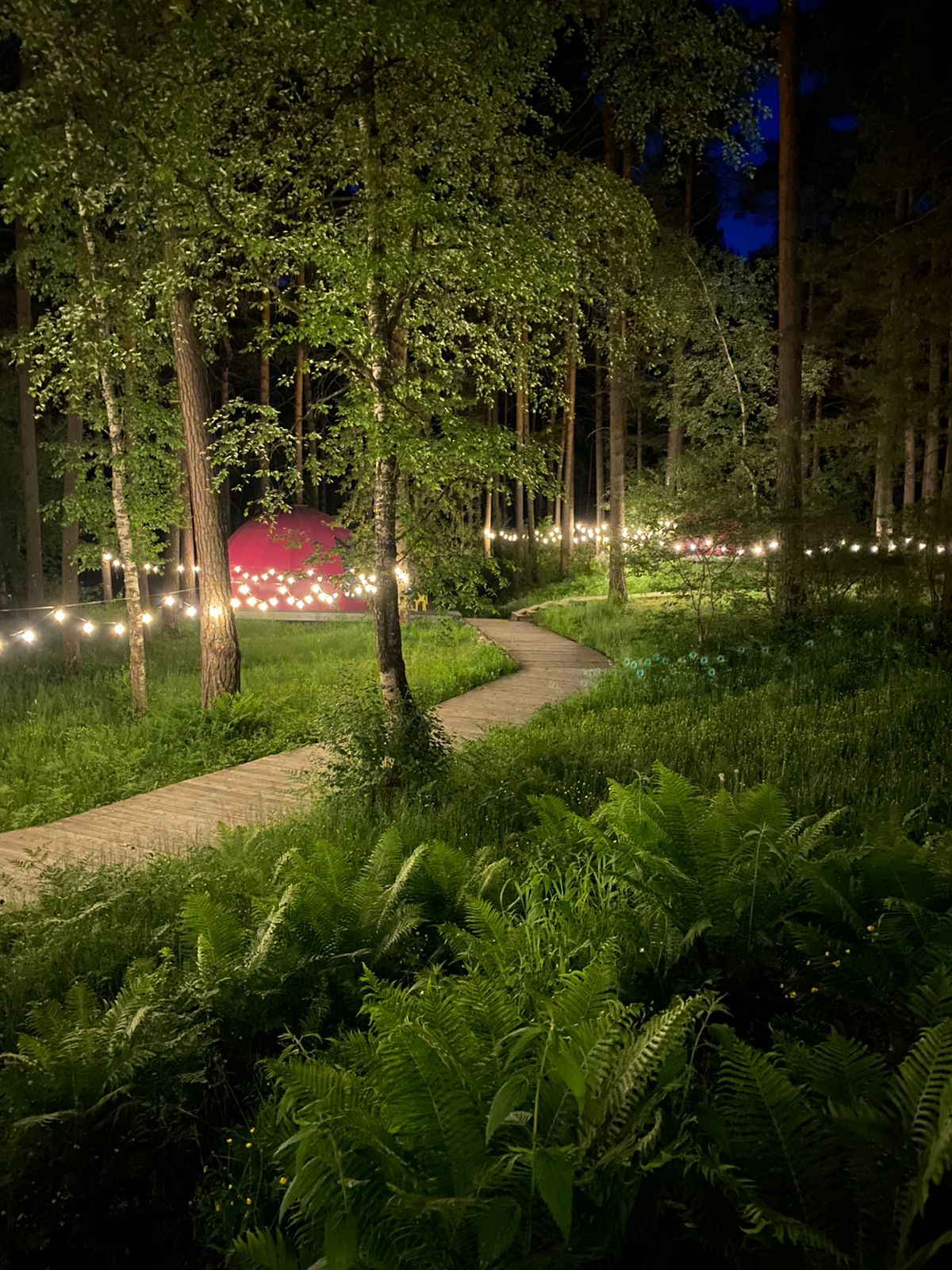 Фото Лесная Лагуна