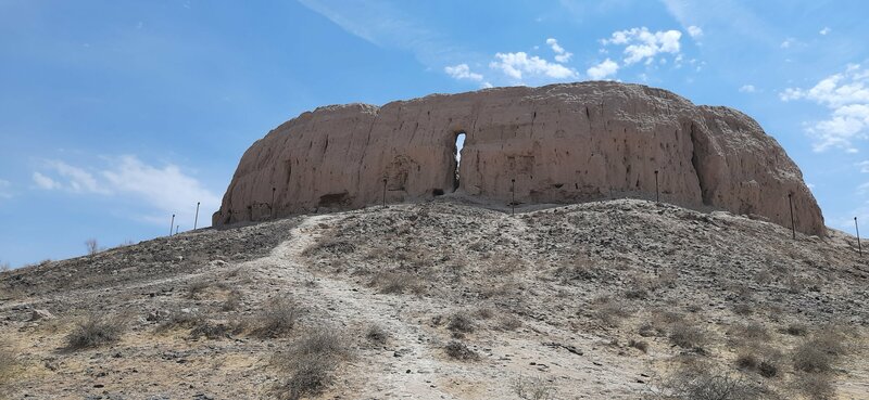 Eshaklar panjara ustida