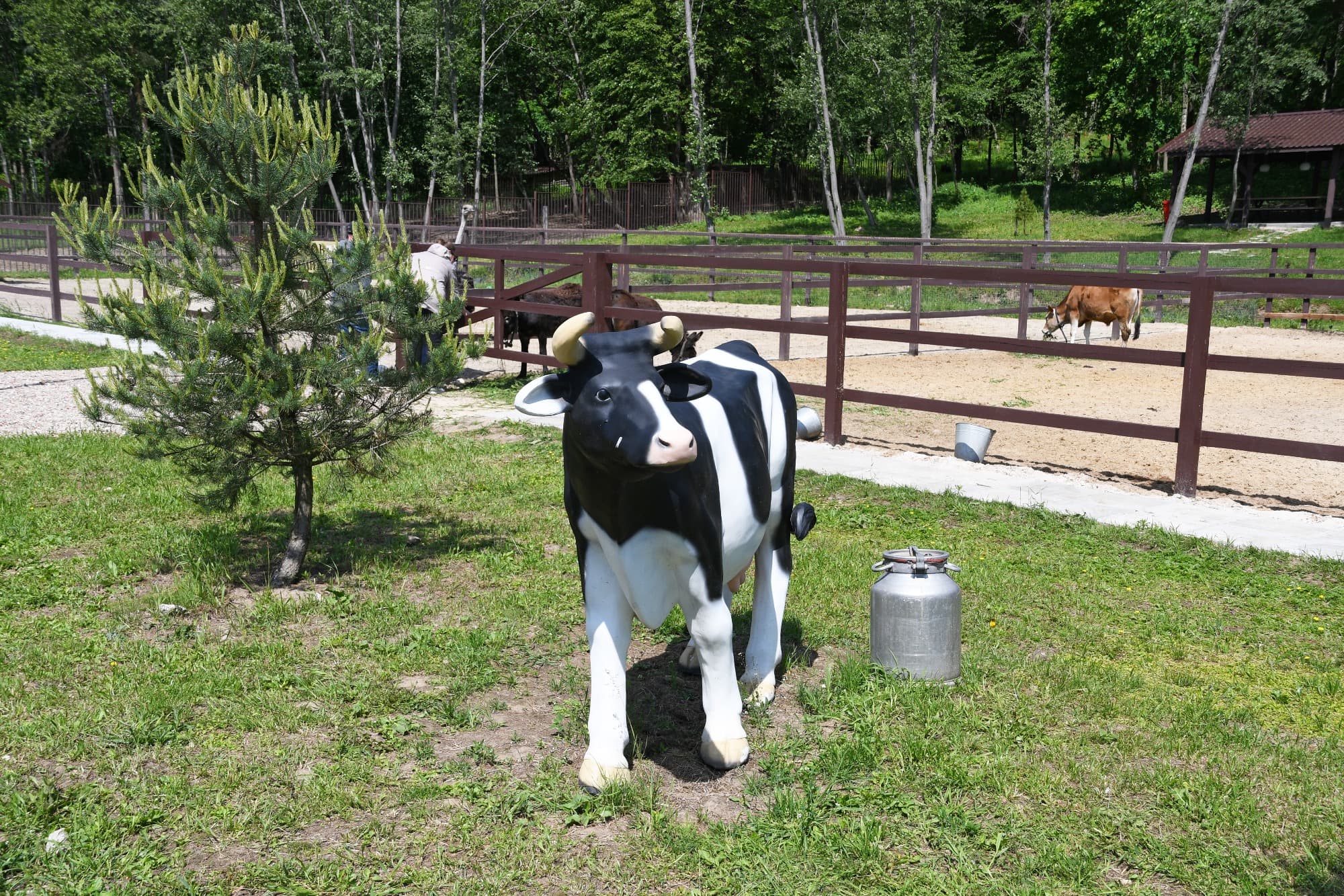 Фото Бунин Ручей