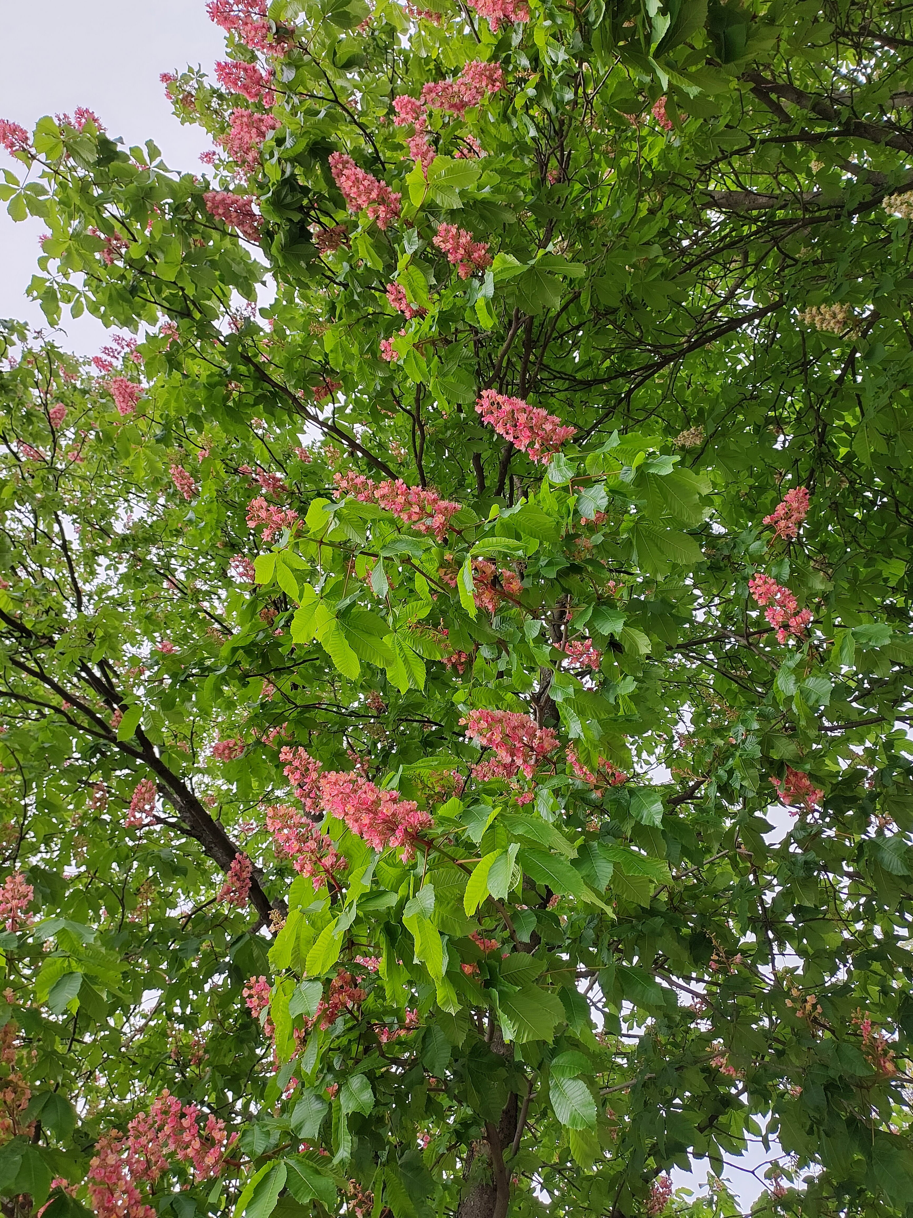 Фото Железноводская клиника ФГБУ СКФНКЦ ФМБА России