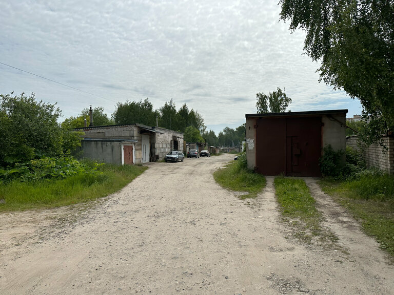 Лев городской округ иваново ленинский район фото