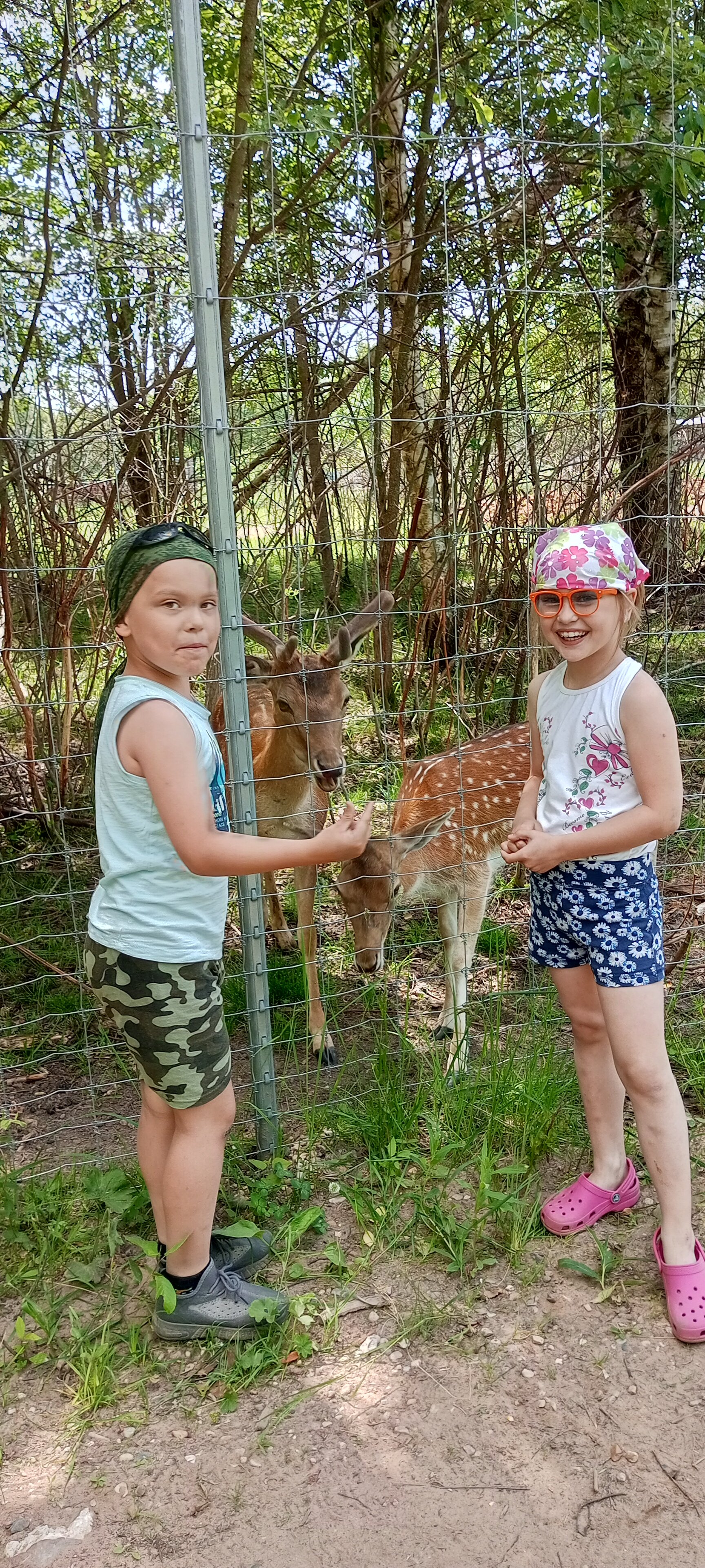 Фото Оленья ферма СудимирЪ