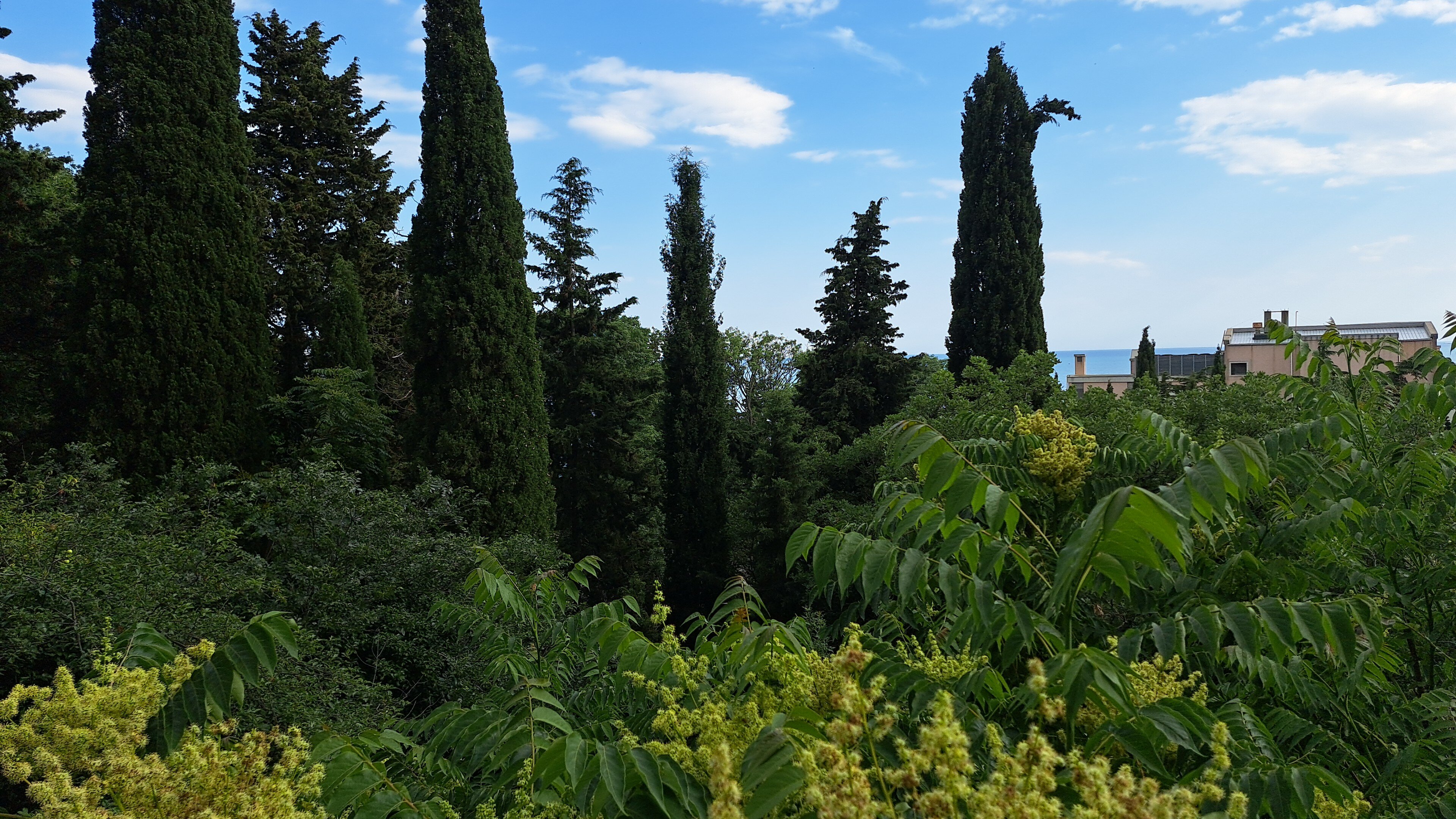 Фото Отрадное Вилла