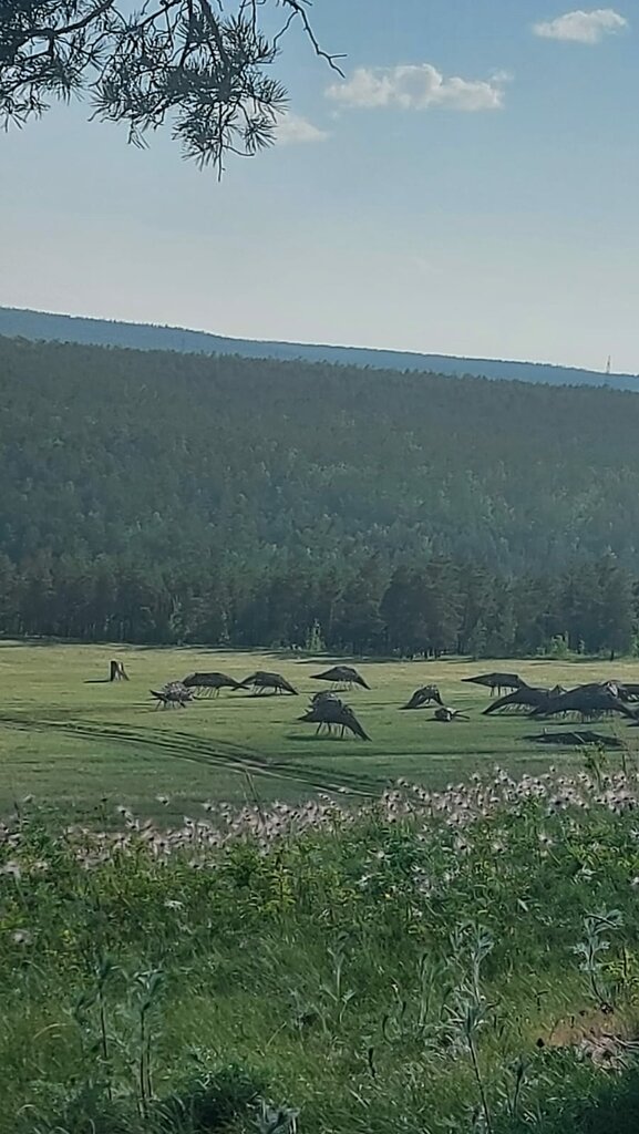Landmark, attraction Священный табун мифических лошадей, Sakha (Yakutia) Republic, photo