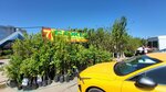 Elit Sad (Krasny Posyolok Street, 2А), garden center