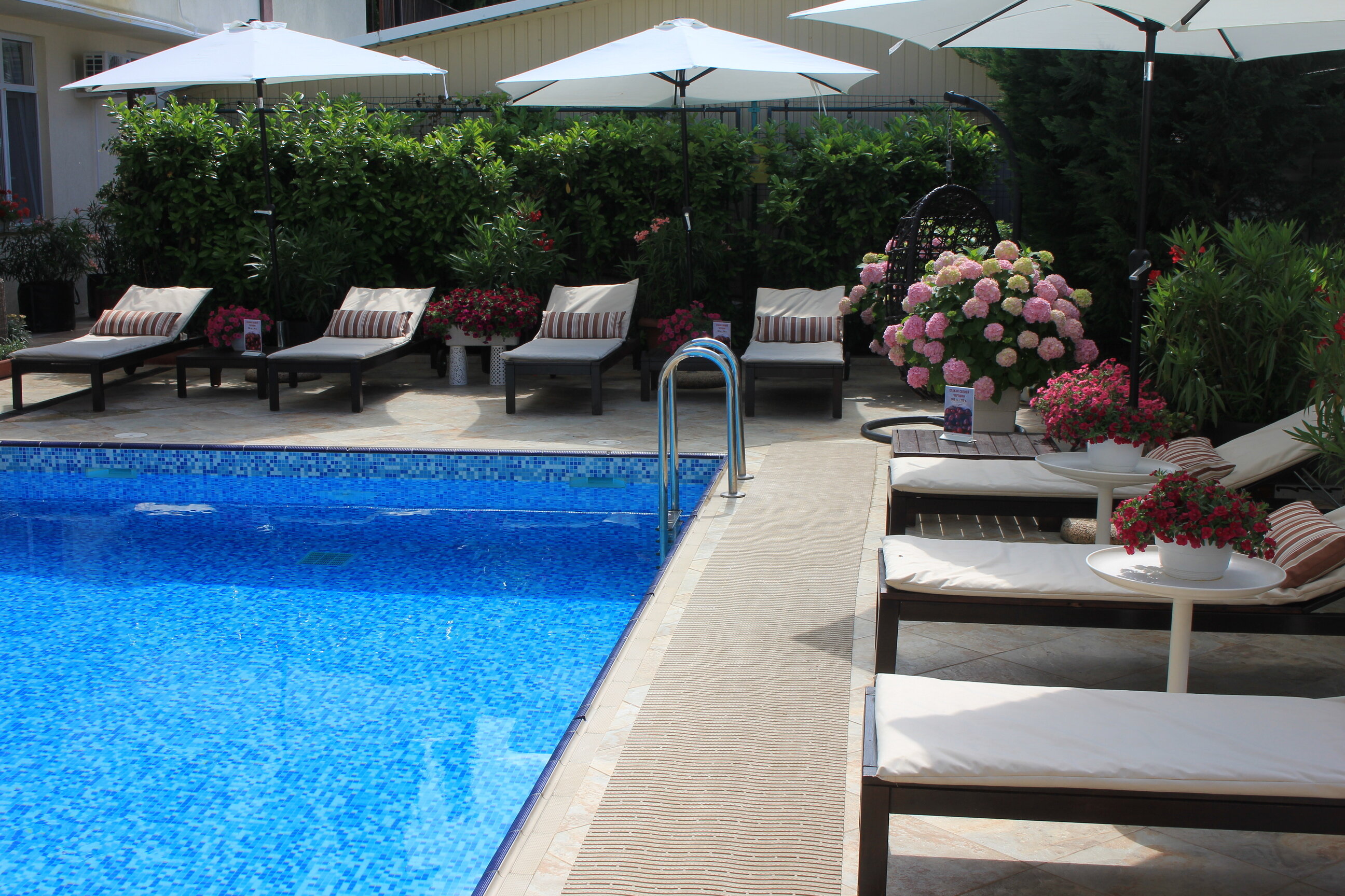 Фото Мускатель