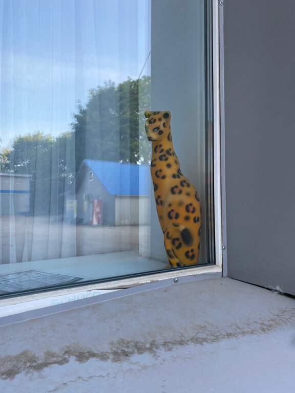 Фото Калинка