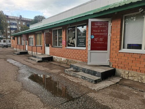 Семіз әйелдердің жыныстық қатынасқа түсуін қараңыз