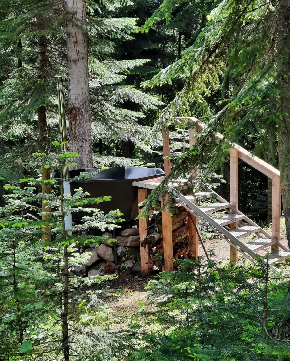 Фото Авалон