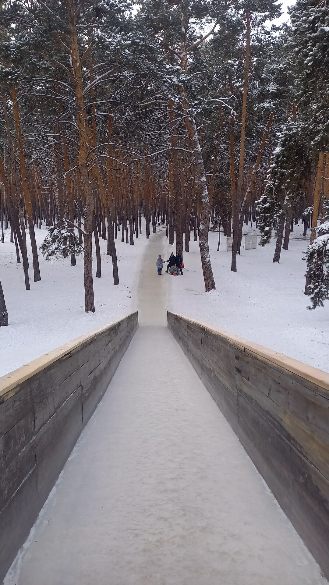 Фото Радуга