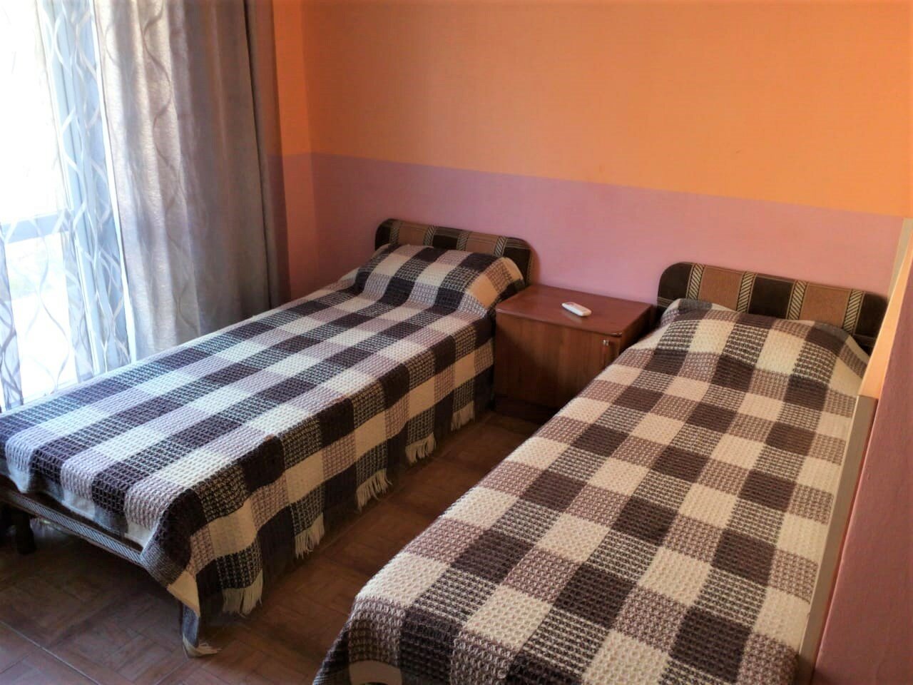 Фото Пальма