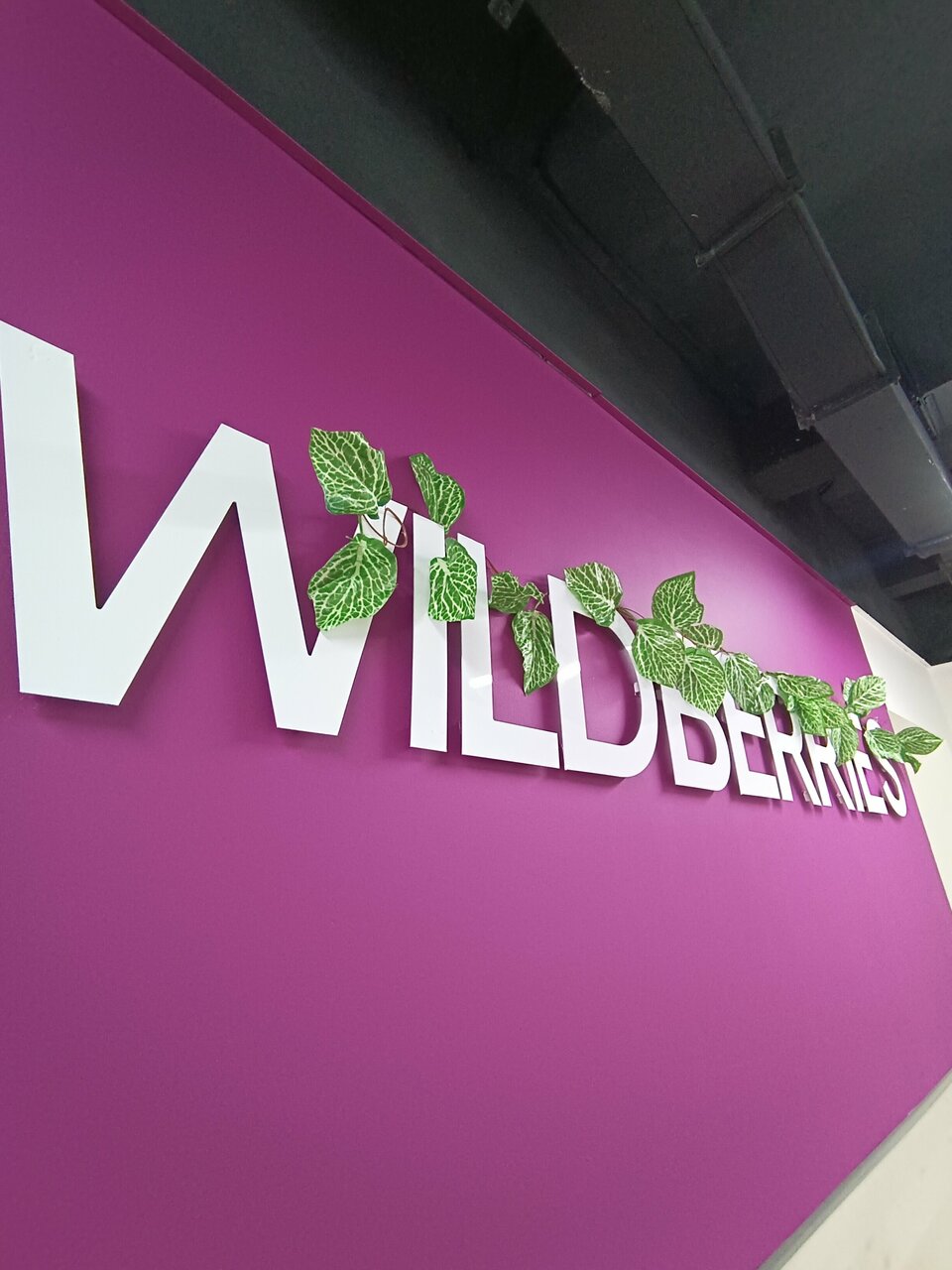 Wildberries