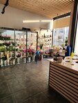 Верба (gorodskoy posyolok Novoselye, Tsentralnaya ulitsa, 10к1), floristeria