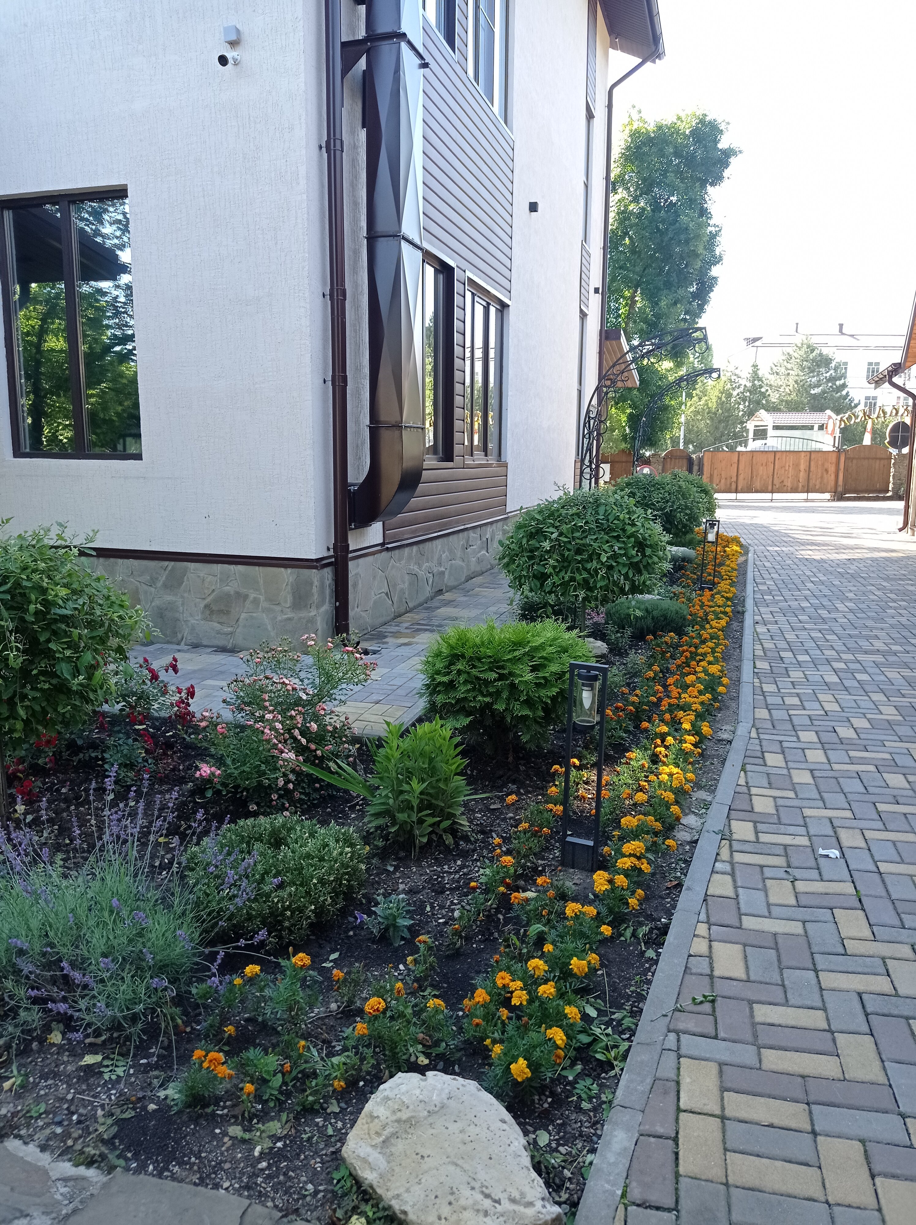 Фото Парк Хаджох