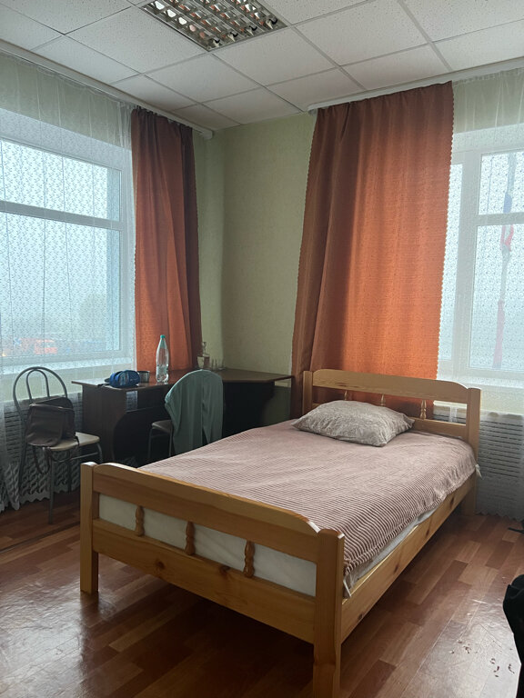 Фото Ромашка