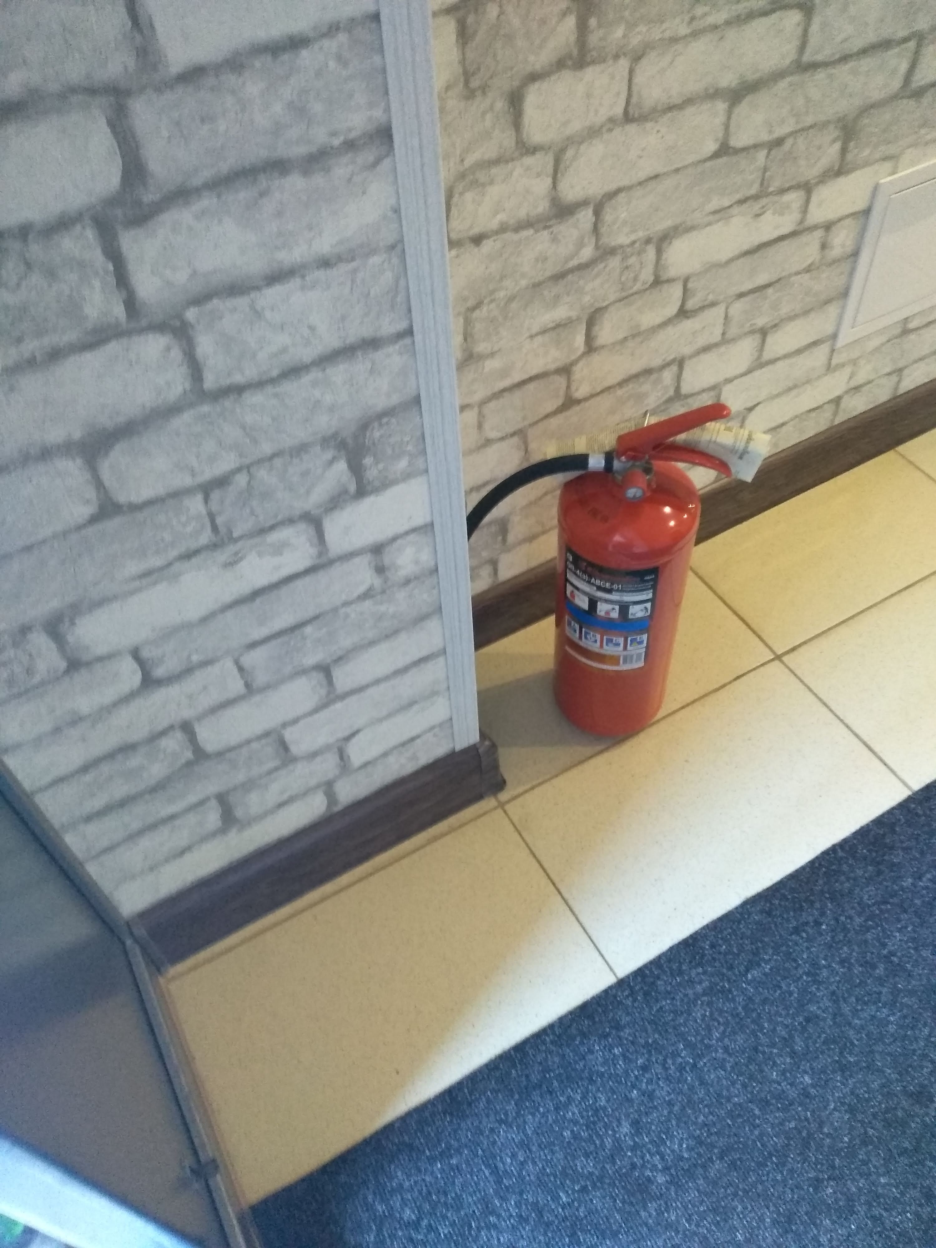 Фото Эдельвейс