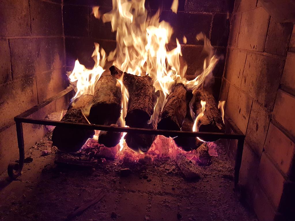 Фото Морской ангел