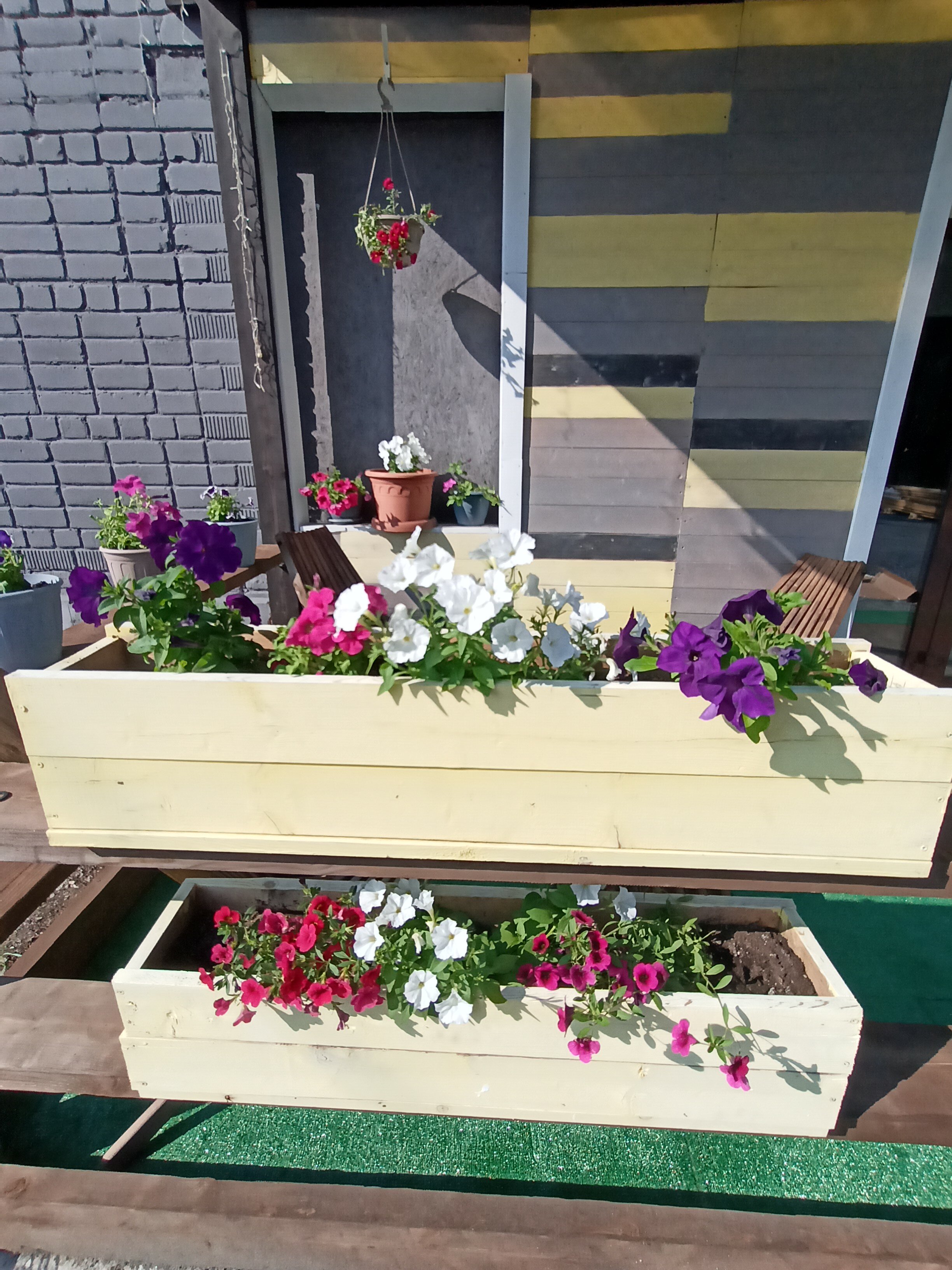 Фото Моррис