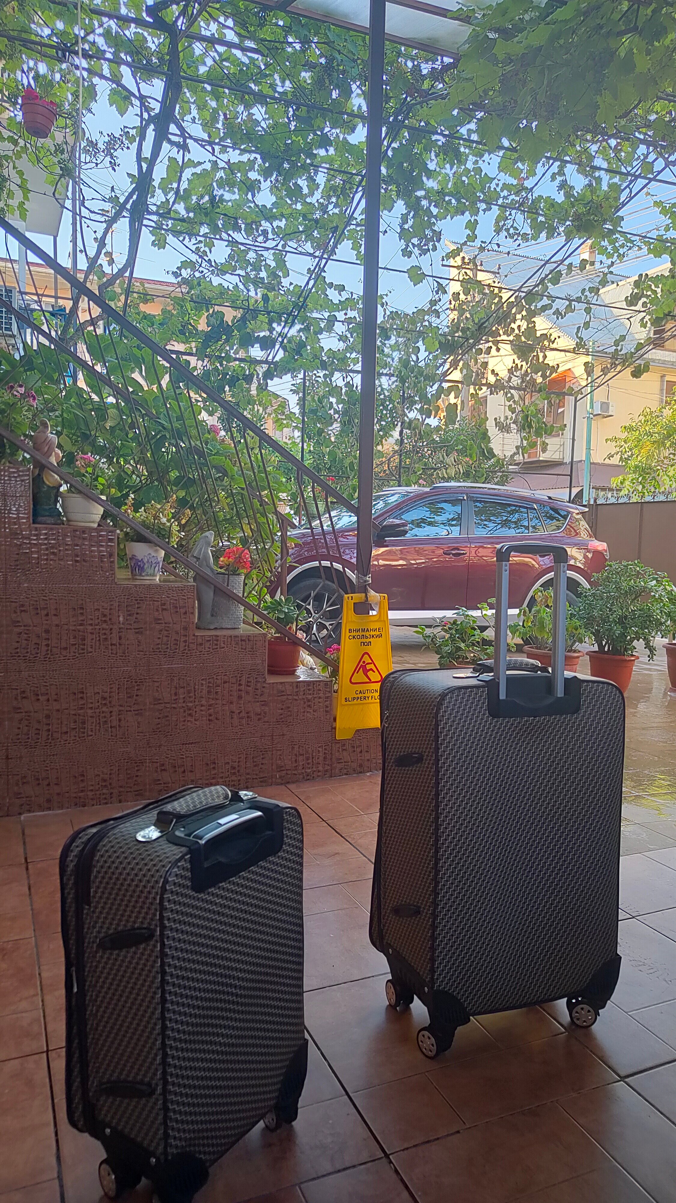 Фото Звёздочка