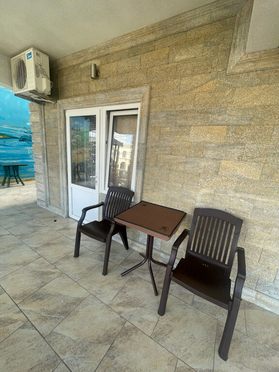 Фото Дельфин