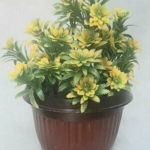 Gardening shop Leaf Garden, Sharjah, photo