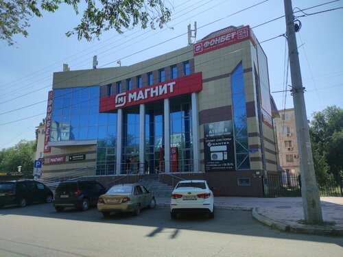 Бетіндегі сперматозоидтар